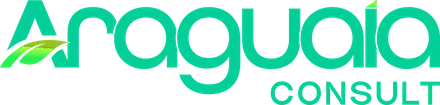 Logo Araguaia Consult